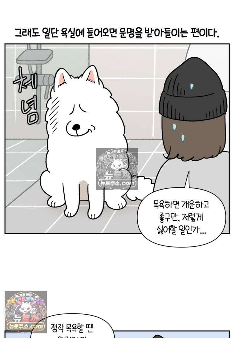 극한견주 시즌2 47화 개를 욕실로 유인하기 15