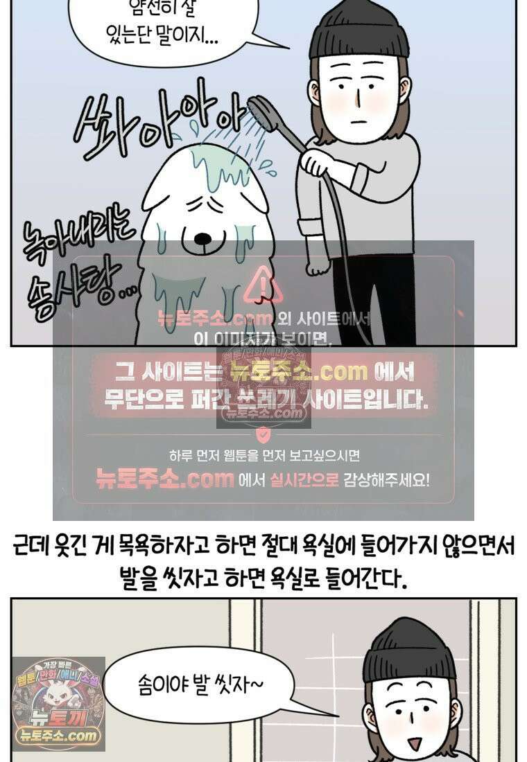 극한견주 시즌2 47화 개를 욕실로 유인하기 16