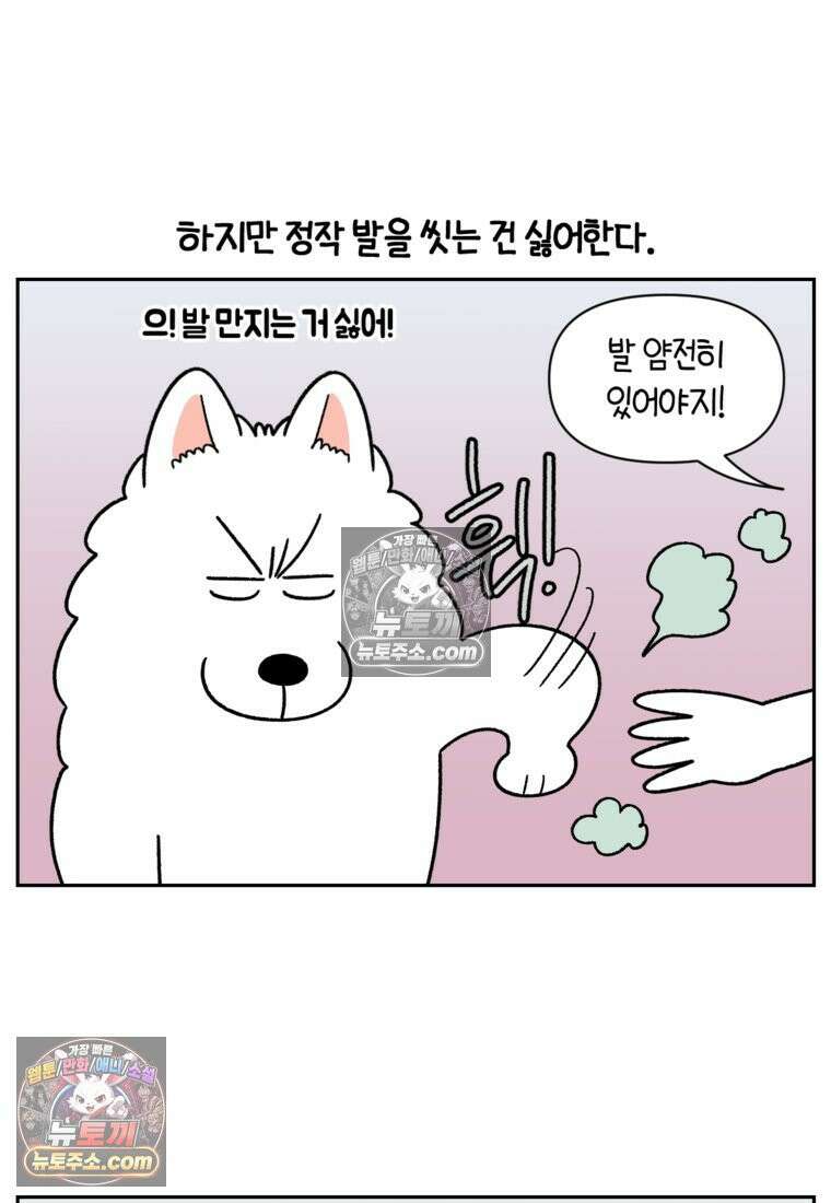 극한견주 시즌2 47화 개를 욕실로 유인하기 19