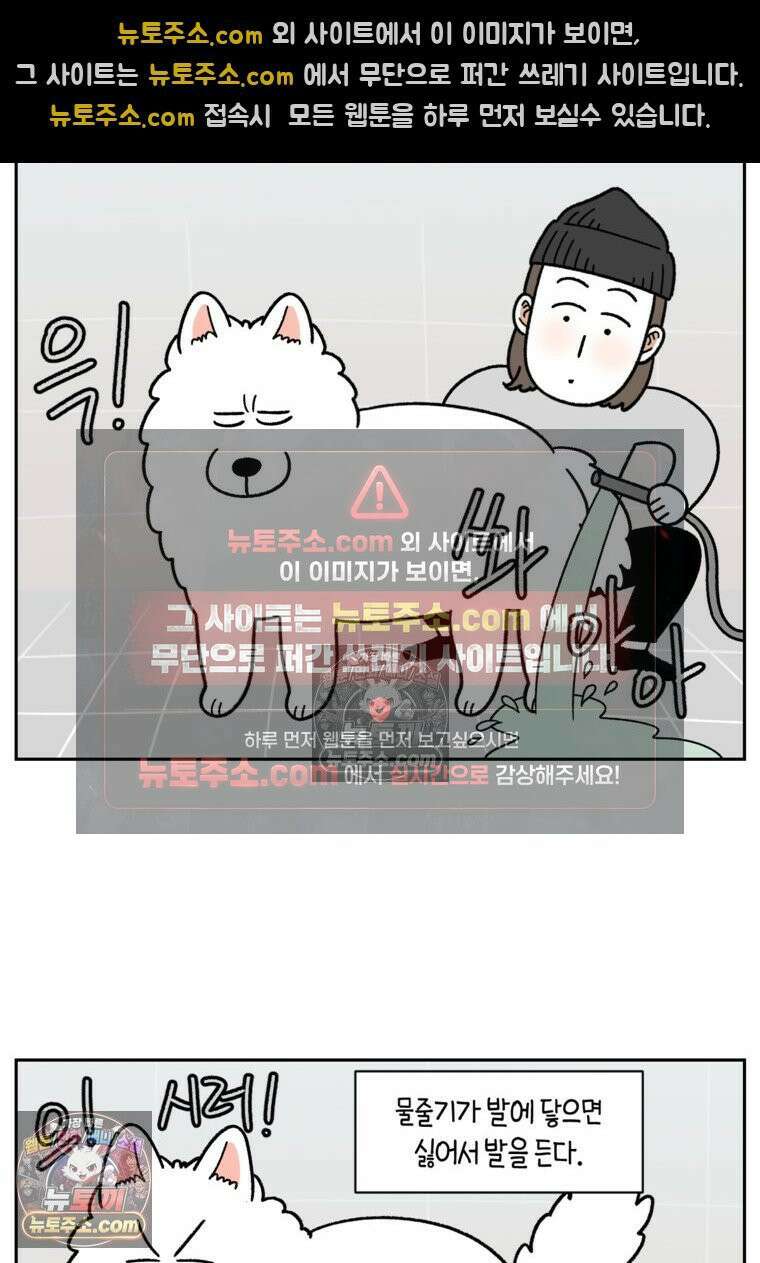 극한견주 시즌2 47화 개를 욕실로 유인하기 20