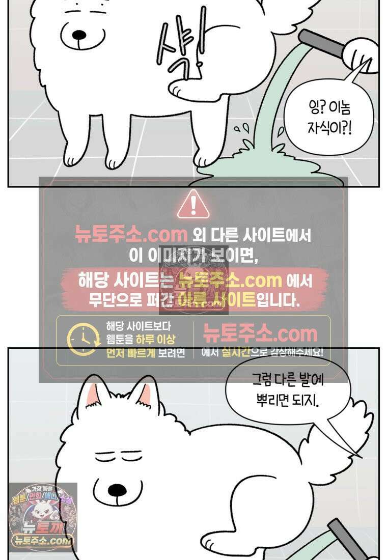 극한견주 시즌2 47화 개를 욕실로 유인하기 21