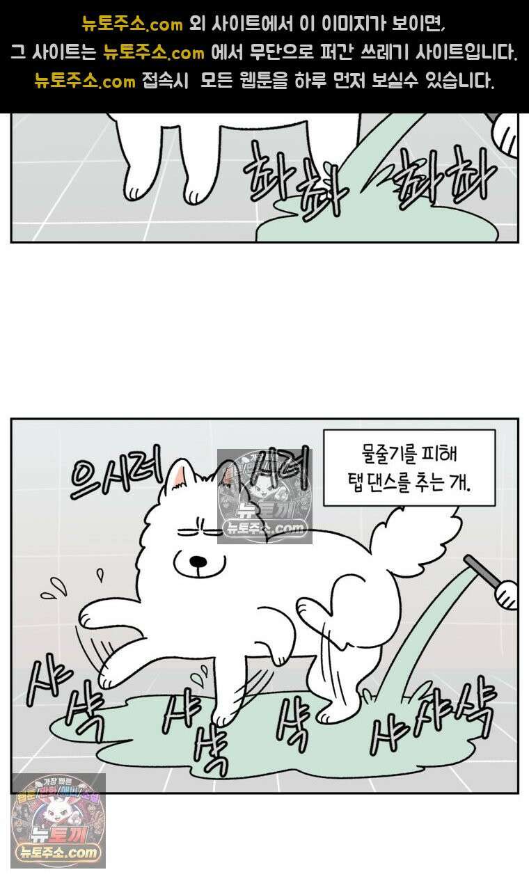 극한견주 시즌2 47화 개를 욕실로 유인하기 22