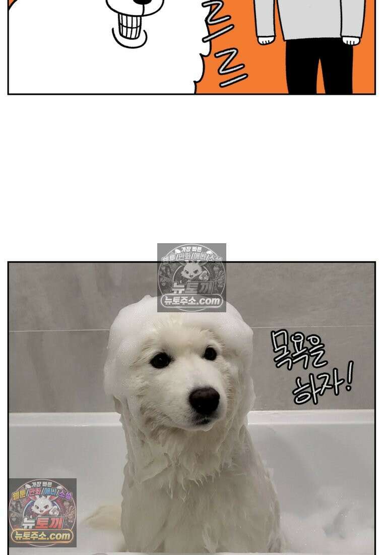 극한견주 시즌2 47화 개를 욕실로 유인하기 26
