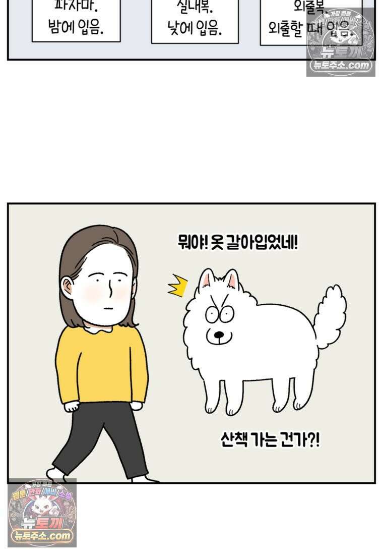 극한견주 시즌2 60화 금지 단어 산책 16