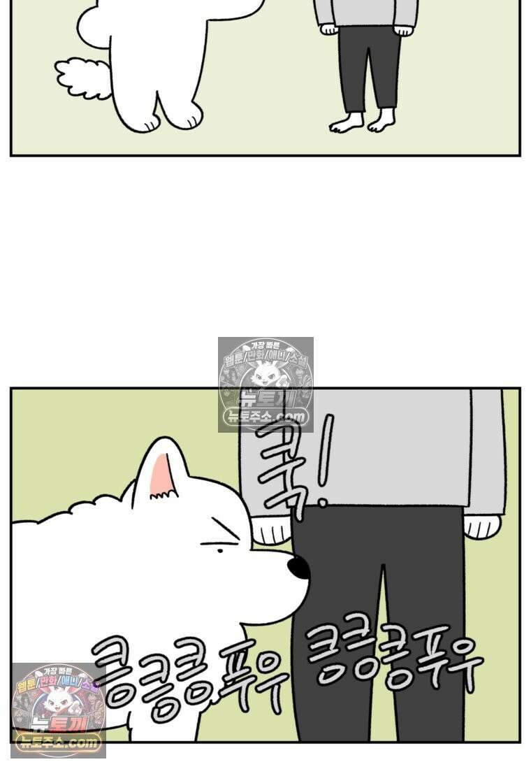 극한견주 시즌2 60화 금지 단어 산책 19