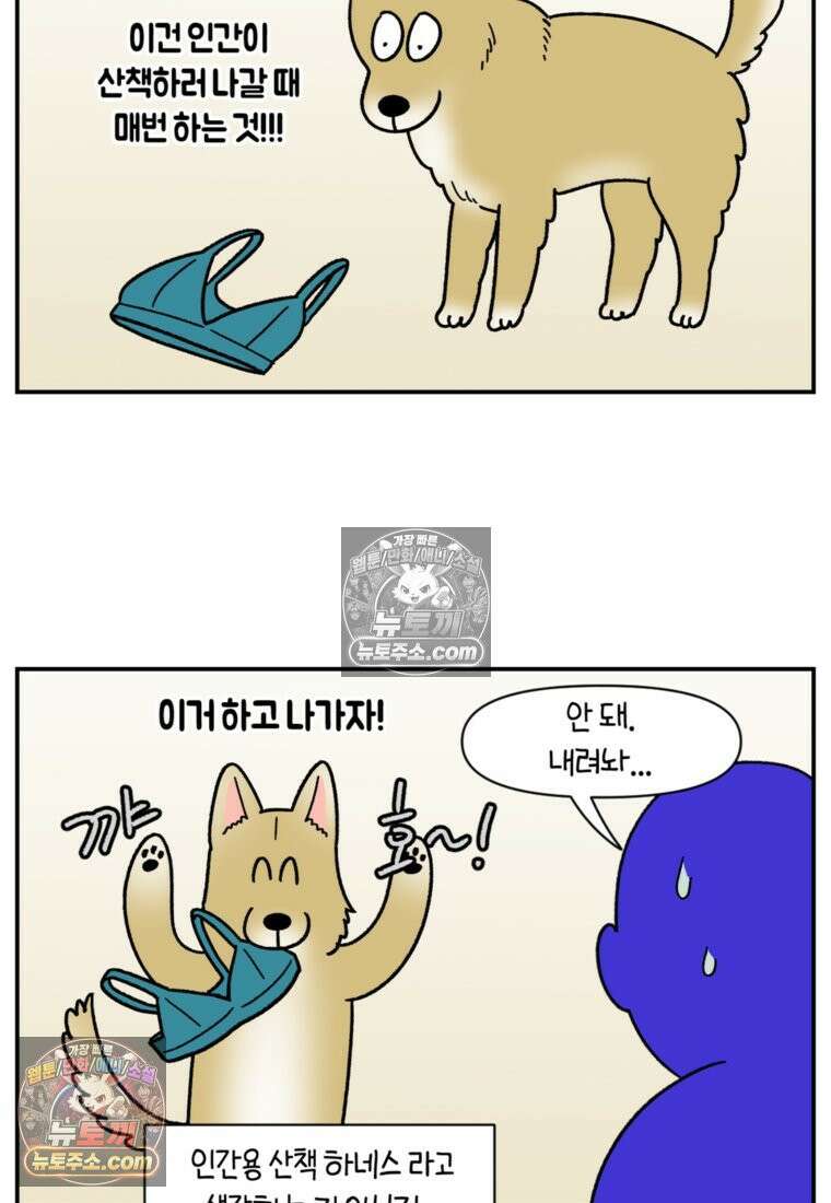 극한견주 시즌2 60화 금지 단어 산책 22