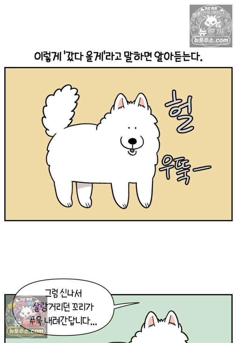 극한견주 시즌2 60화 금지 단어 산책 24