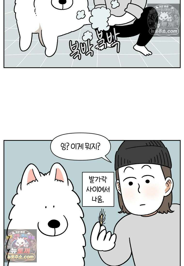 극한견주 시즌2 84화 나쁜 씨앗사건 3