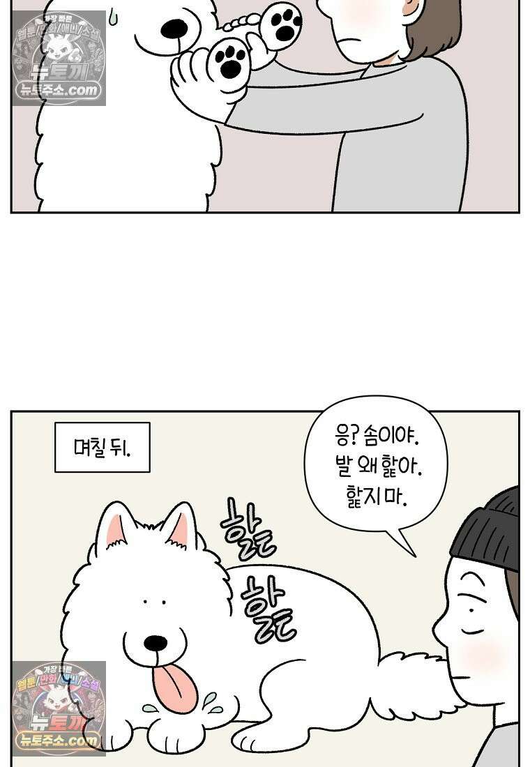 극한견주 시즌2 84화 나쁜 씨앗사건 6
