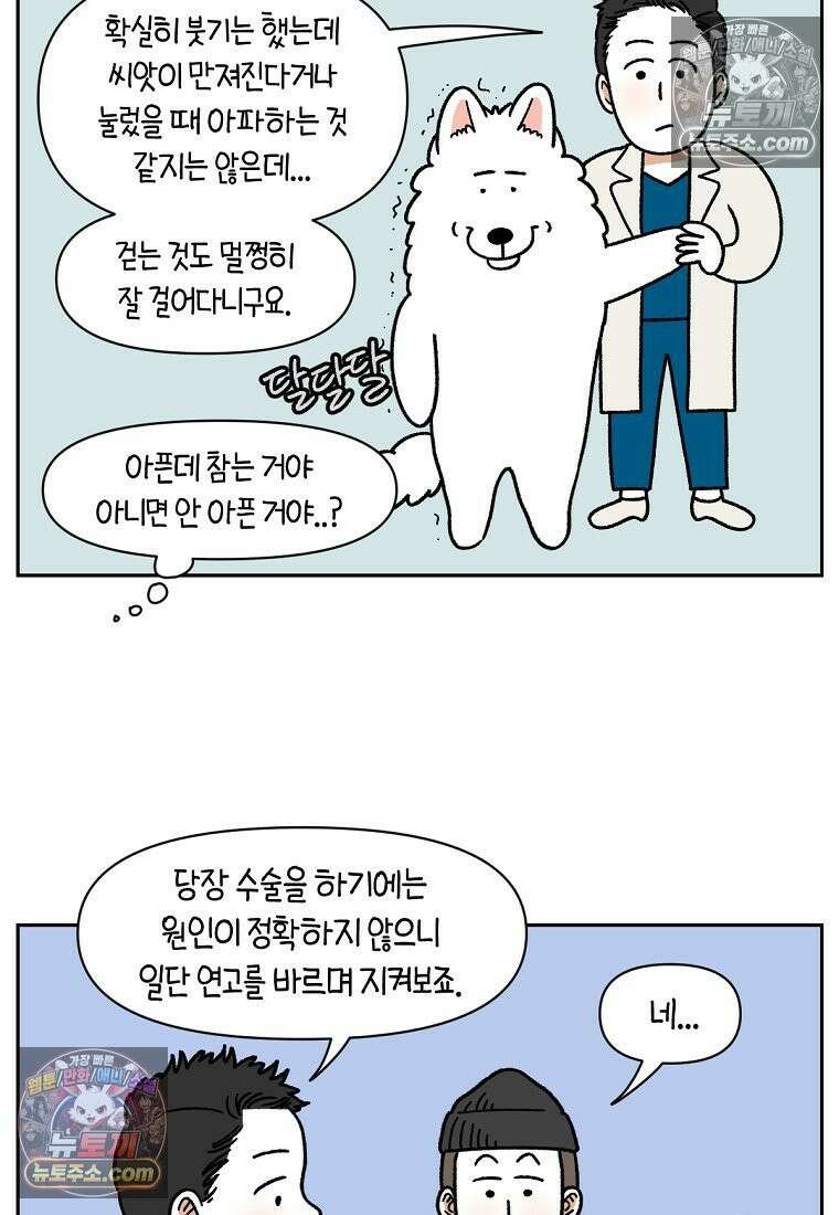 극한견주 시즌2 84화 나쁜 씨앗사건 11
