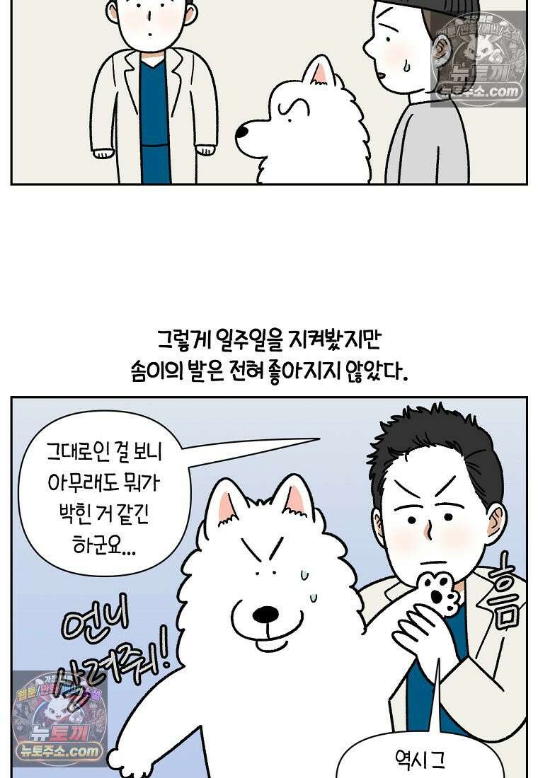 극한견주 시즌2 84화 나쁜 씨앗사건 14