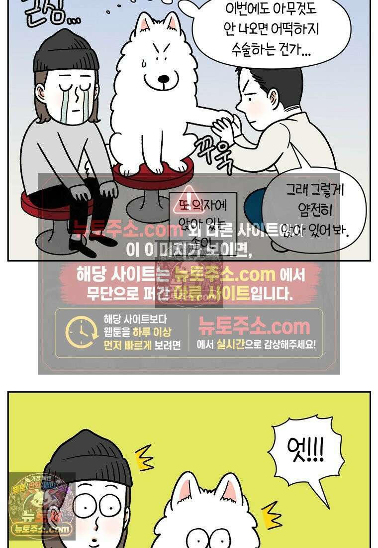 극한견주 시즌2 84화 나쁜 씨앗사건 17