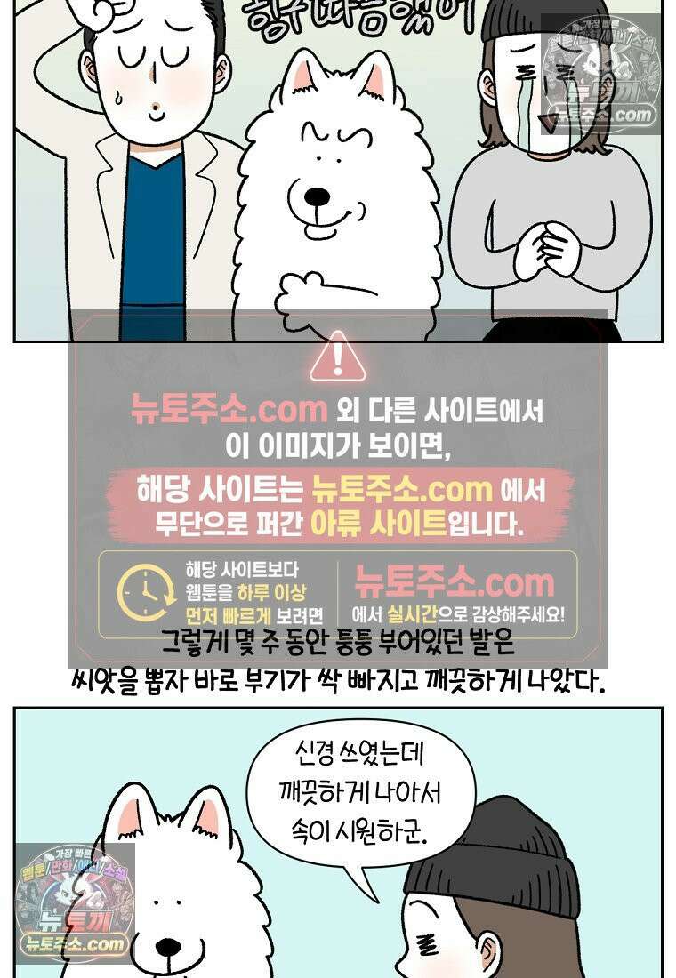 극한견주 시즌2 84화 나쁜 씨앗사건 20
