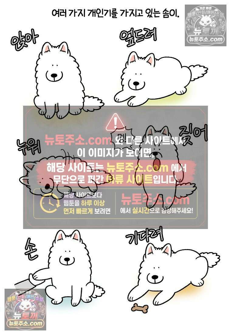 극한견주 시즌2 89화 솜이의 개인기 2