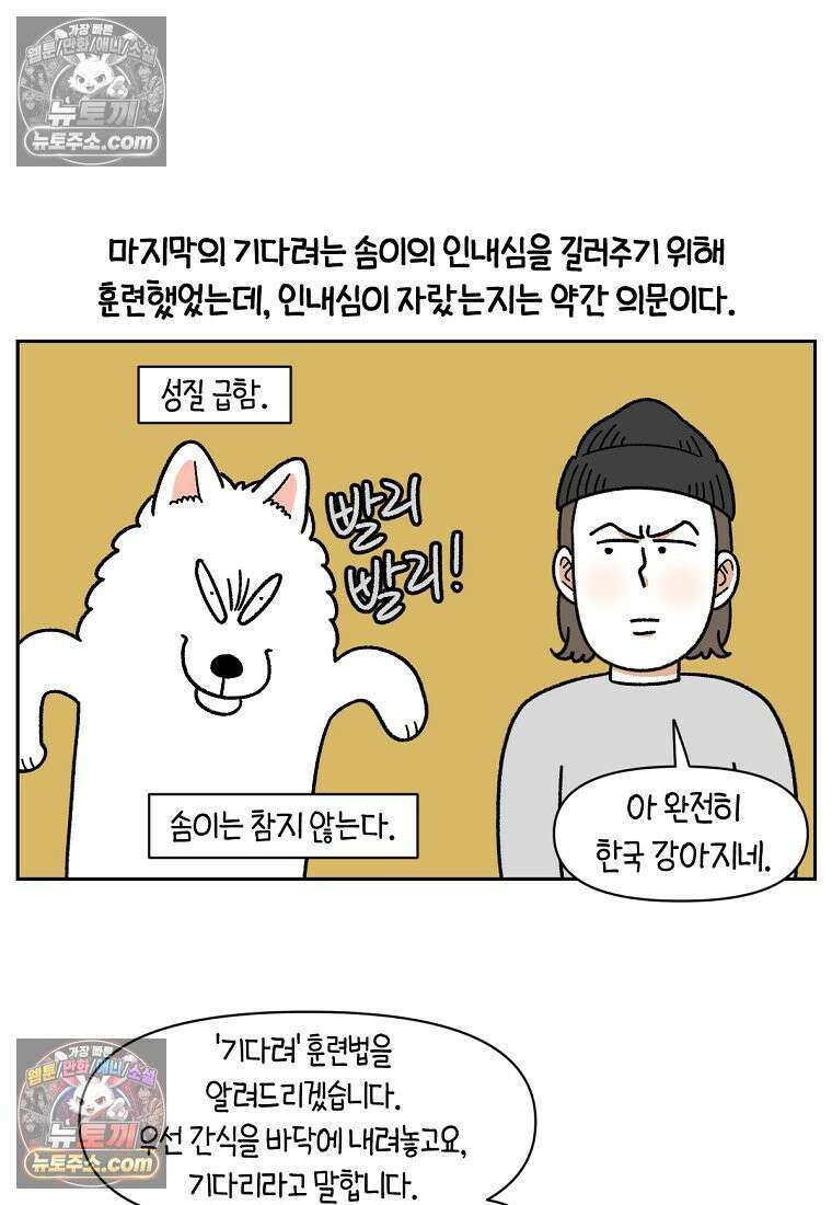 극한견주 시즌2 89화 솜이의 개인기 3