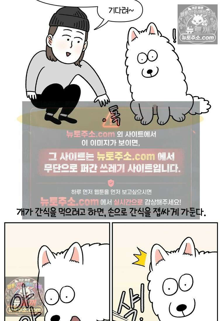 극한견주 시즌2 89화 솜이의 개인기 4