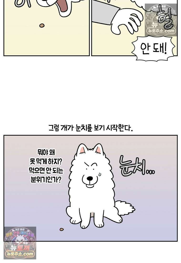 극한견주 시즌2 89화 솜이의 개인기 5
