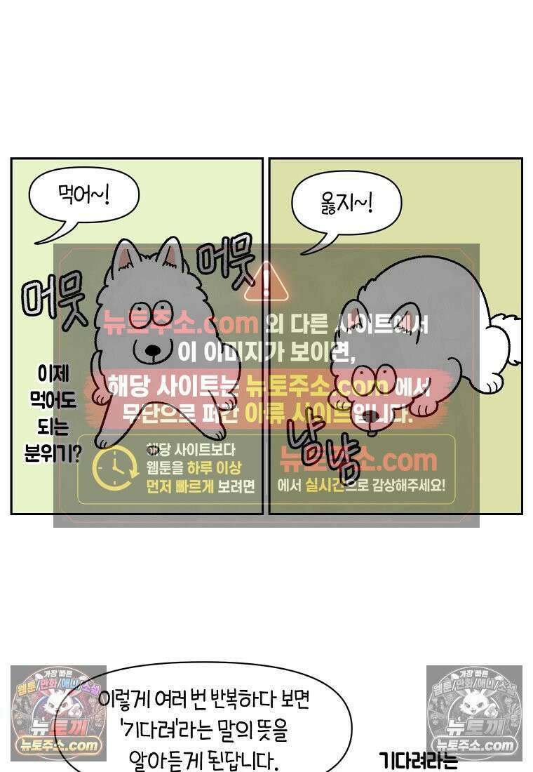 극한견주 시즌2 89화 솜이의 개인기 6