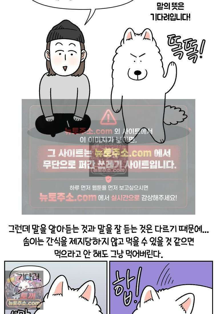 극한견주 시즌2 89화 솜이의 개인기 7