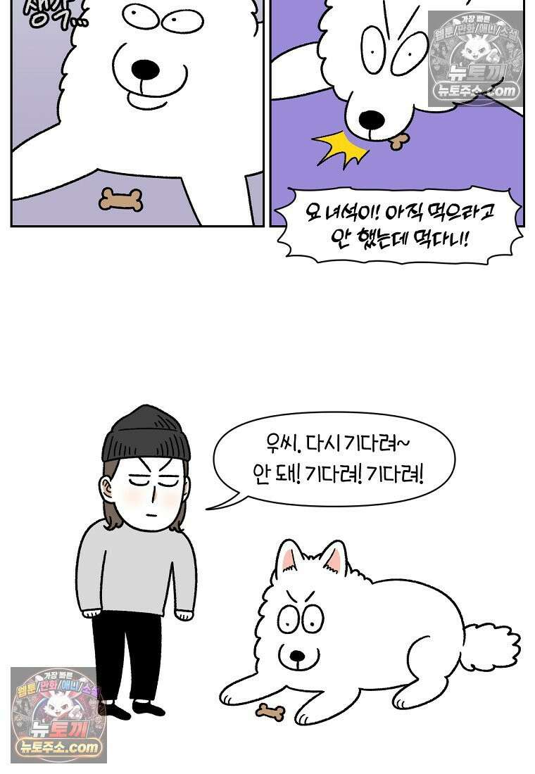 극한견주 시즌2 89화 솜이의 개인기 8