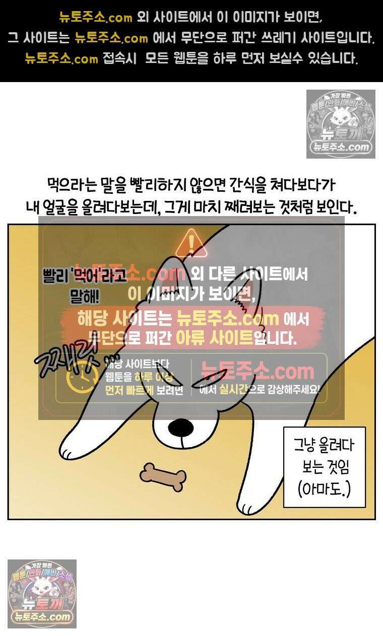 극한견주 시즌2 89화 솜이의 개인기 9