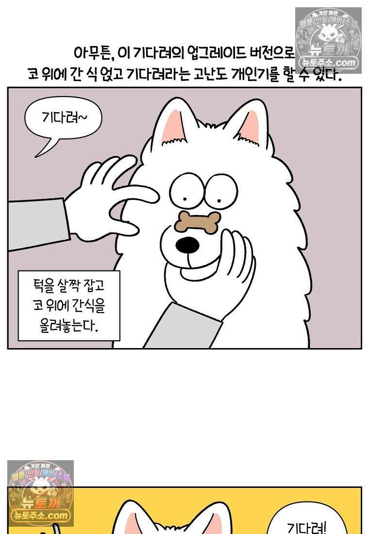 극한견주 시즌2 89화 솜이의 개인기 10