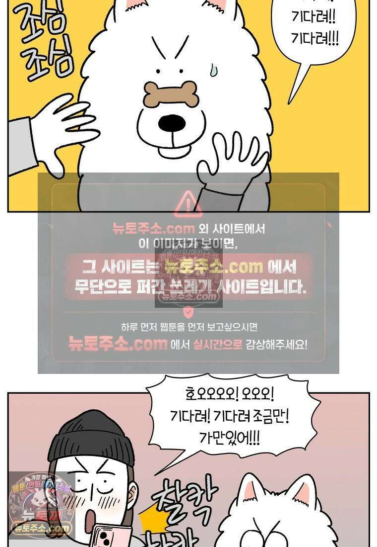 극한견주 시즌2 89화 솜이의 개인기 11