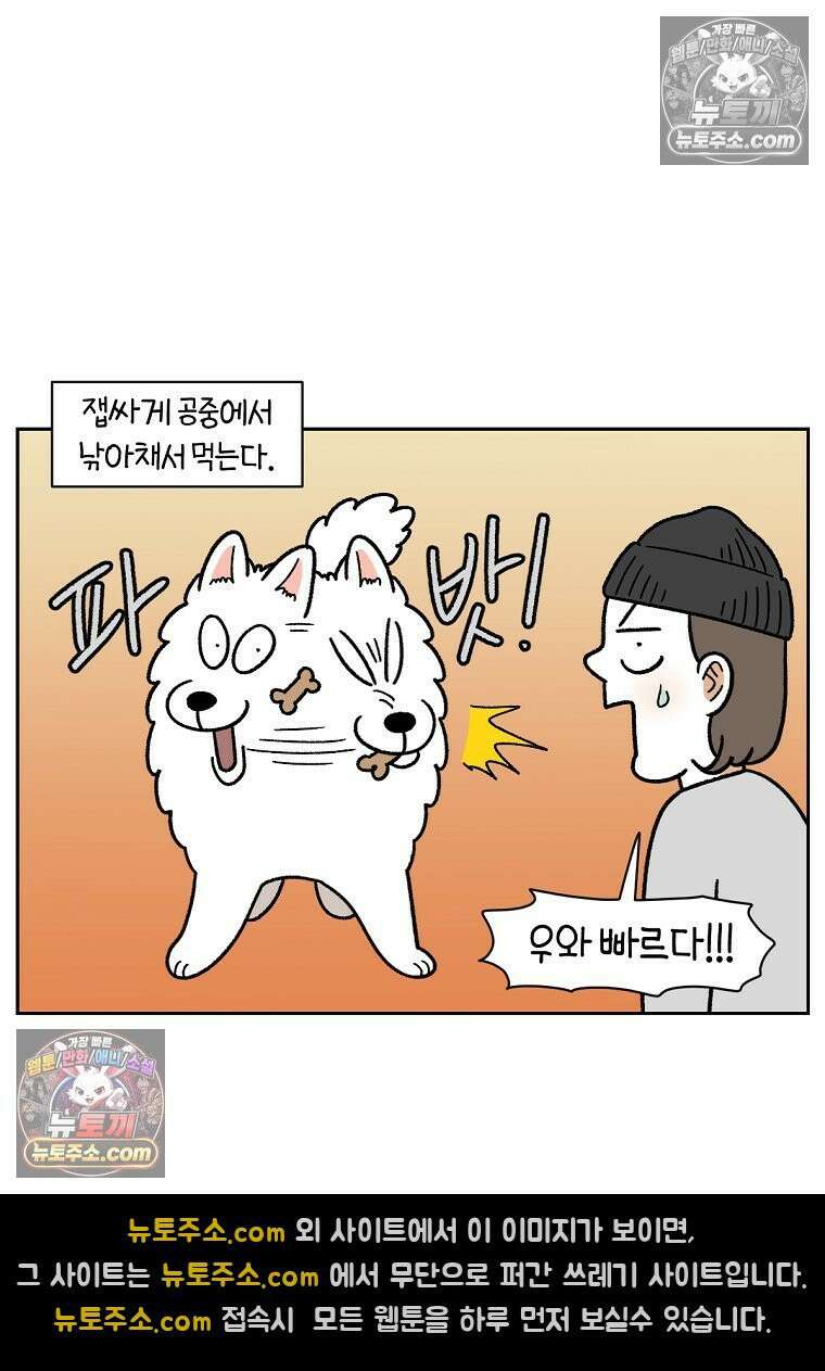 극한견주 시즌2 89화 솜이의 개인기 13