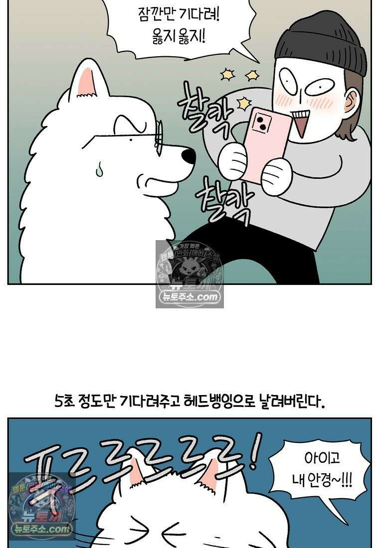 극한견주 시즌2 89화 솜이의 개인기 15