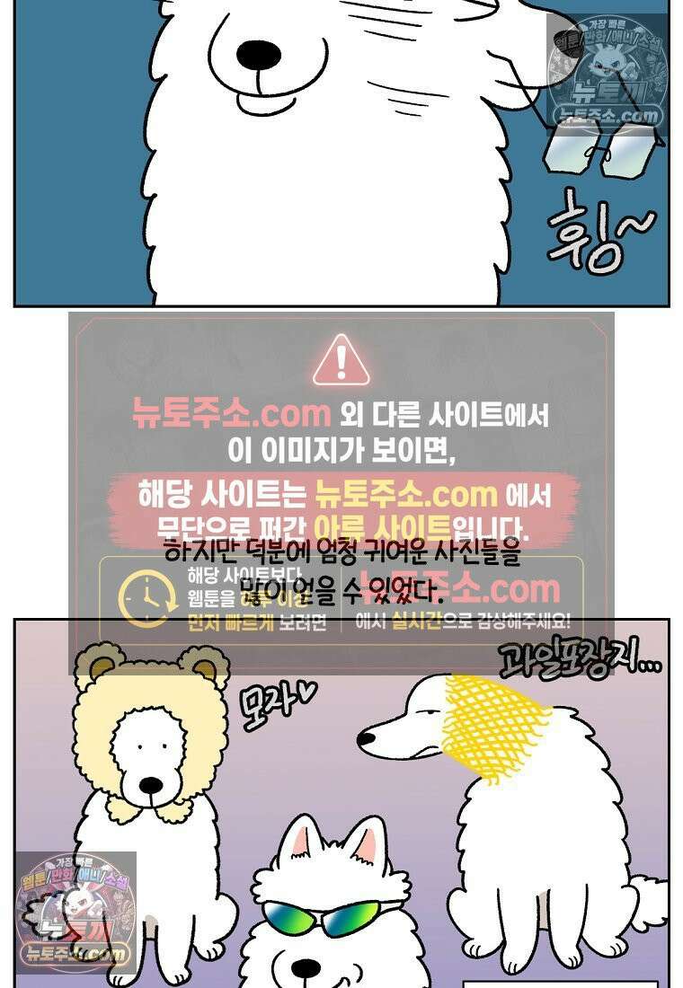 극한견주 시즌2 89화 솜이의 개인기 16
