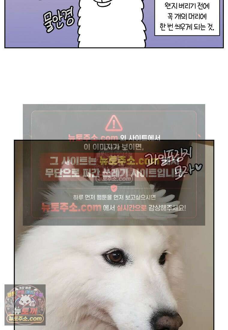 극한견주 시즌2 89화 솜이의 개인기 17
