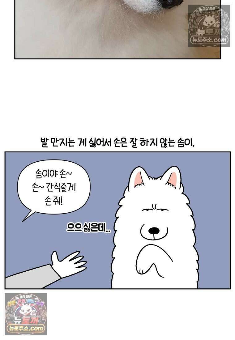 극한견주 시즌2 89화 솜이의 개인기 18