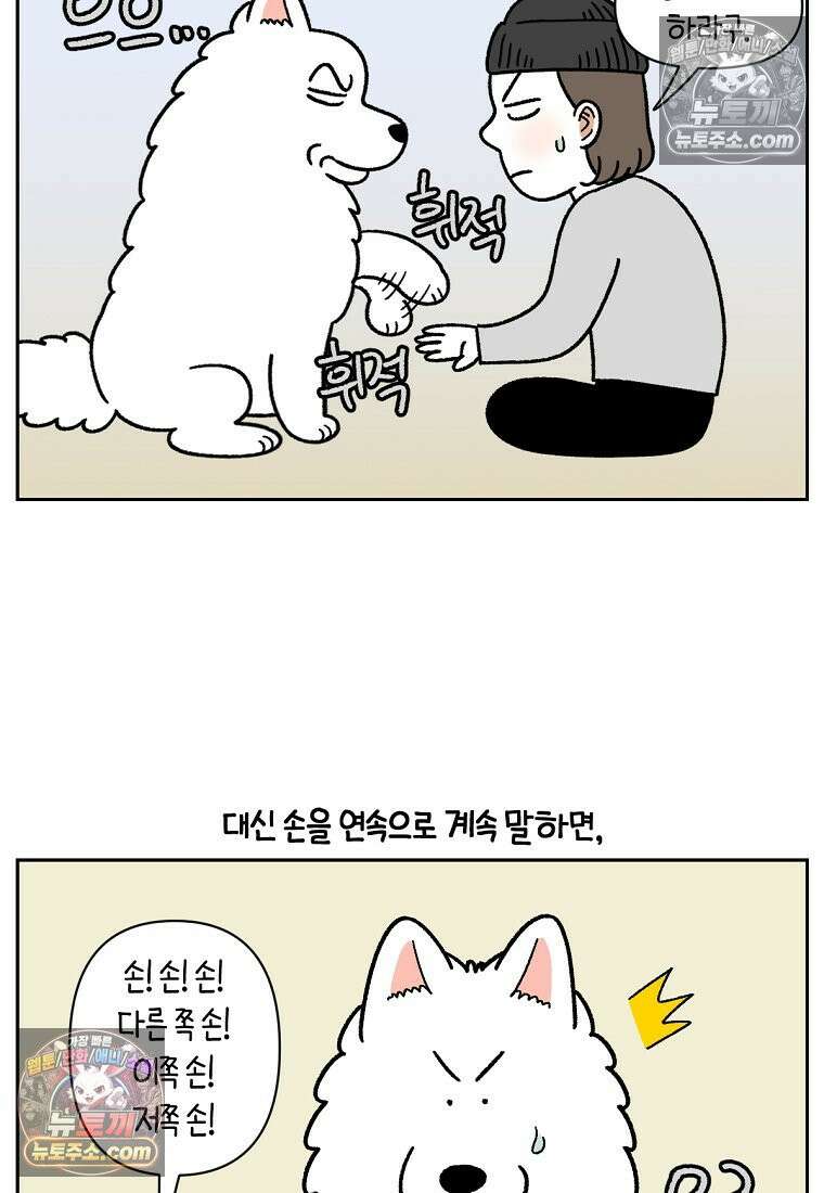 극한견주 시즌2 89화 솜이의 개인기 20