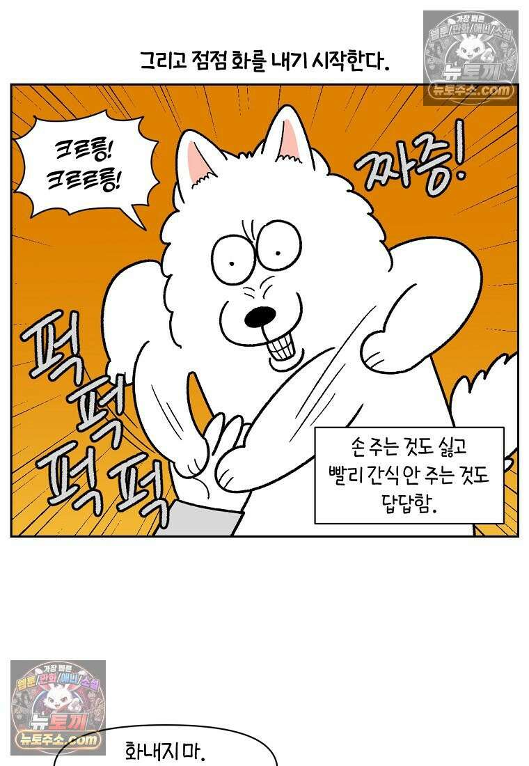 극한견주 시즌2 89화 솜이의 개인기 23