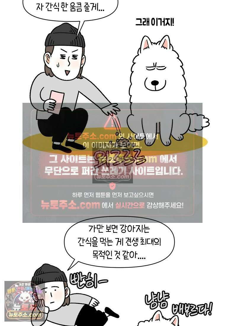 극한견주 시즌2 89화 솜이의 개인기 24