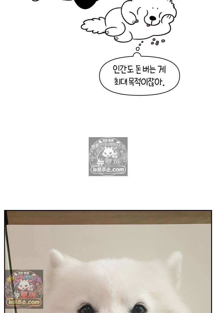 극한견주 시즌2 89화 솜이의 개인기 25