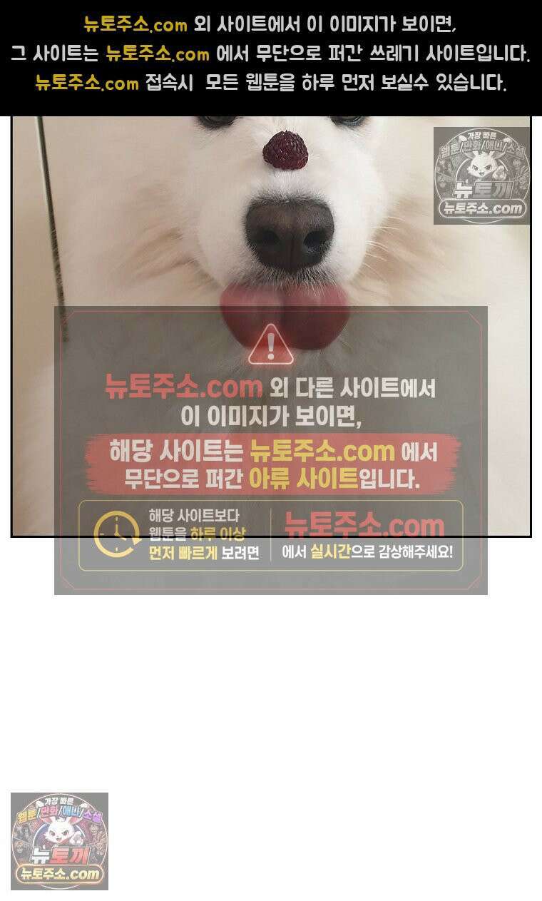 극한견주 시즌2 89화 솜이의 개인기 26