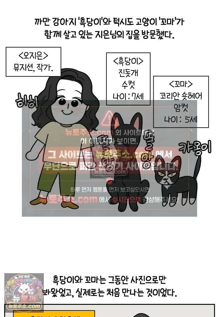 극한견주 시즌2 94화 명견흑당 2