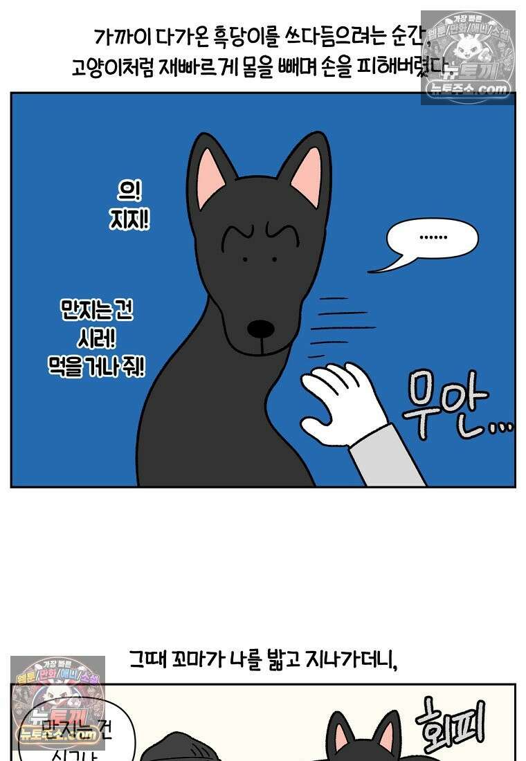 극한견주 시즌2 94화 명견흑당 15