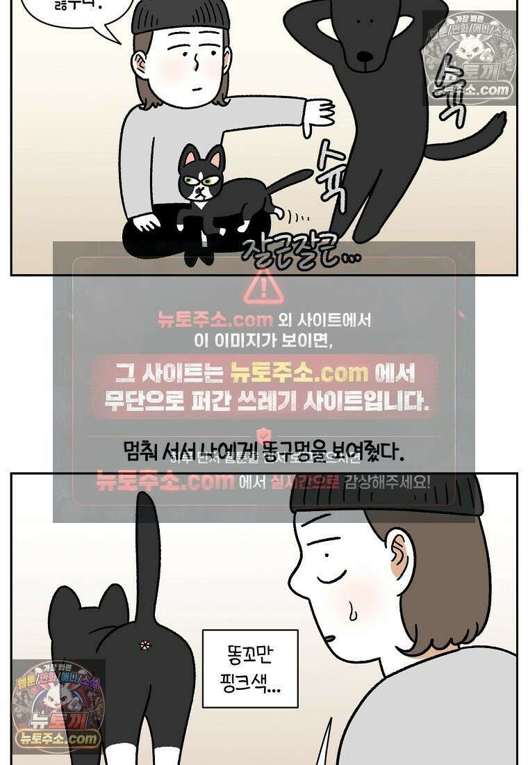 극한견주 시즌2 94화 명견흑당 16