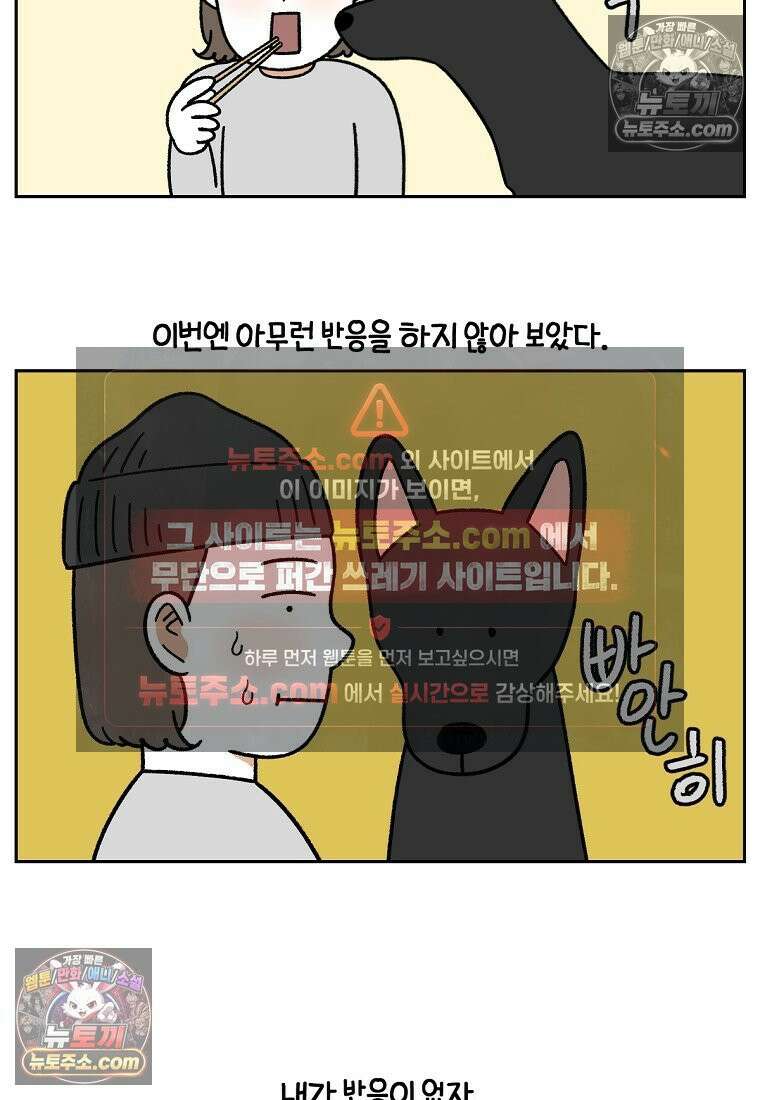 극한견주 시즌2 94화 명견흑당 19