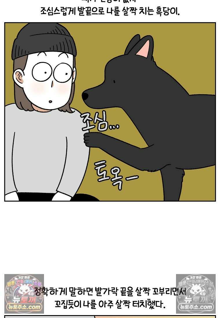 극한견주 시즌2 94화 명견흑당 20