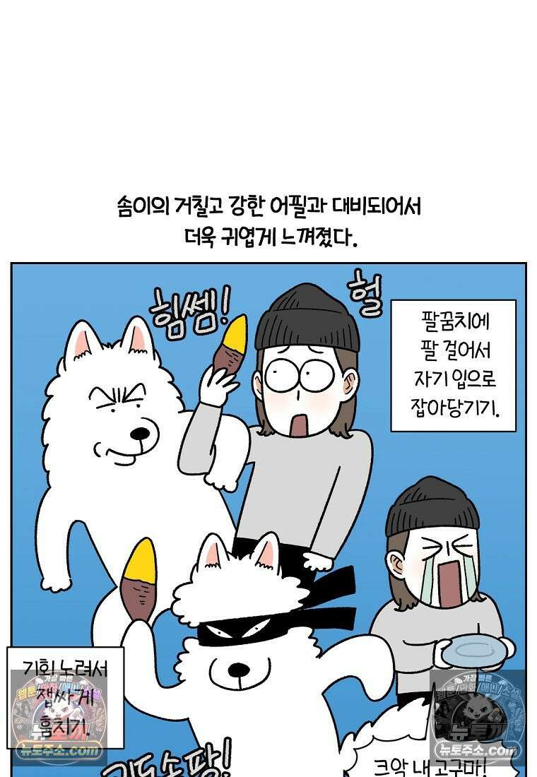 극한견주 시즌2 94화 명견흑당 23