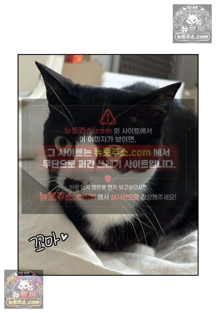 극한견주 시즌2 94화 명견흑당 26