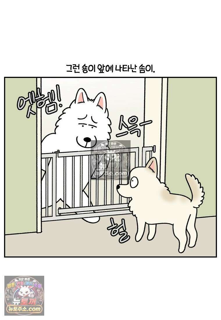 극한견주 시즌2 105화 안전문 설치 10