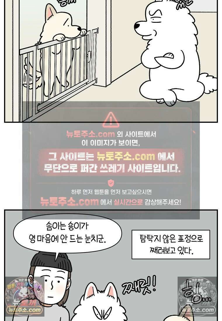 극한견주 시즌2 105화 안전문 설치 12