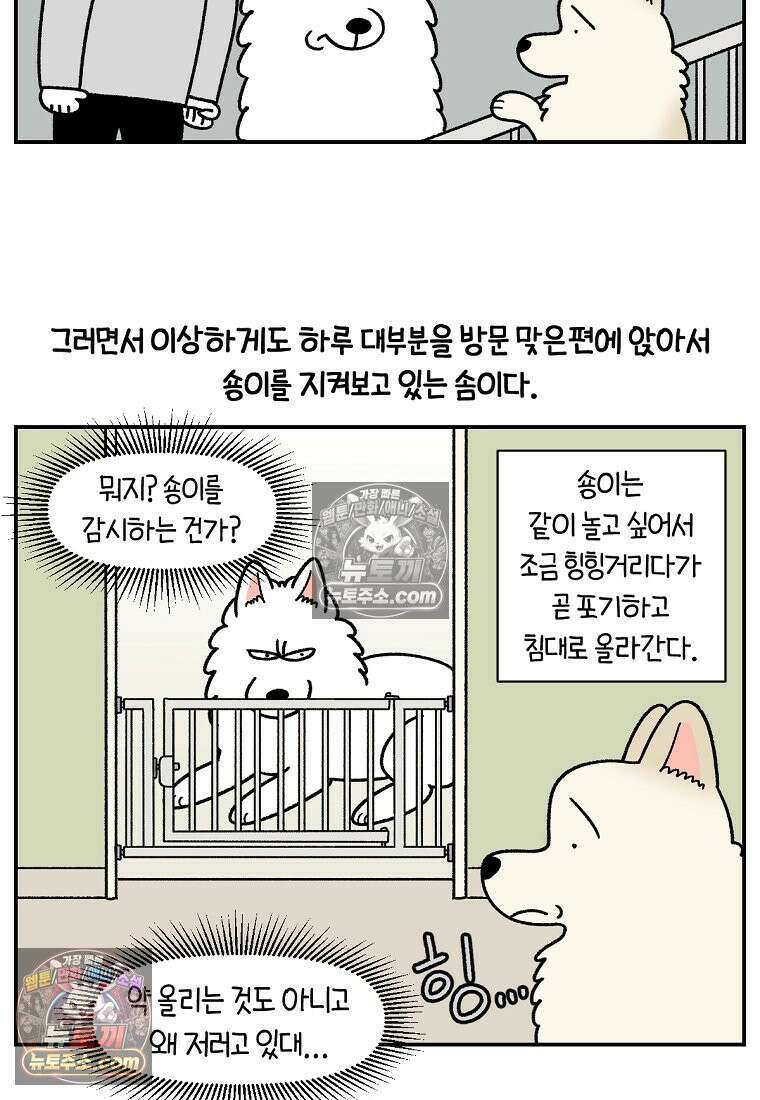 극한견주 시즌2 105화 안전문 설치 13