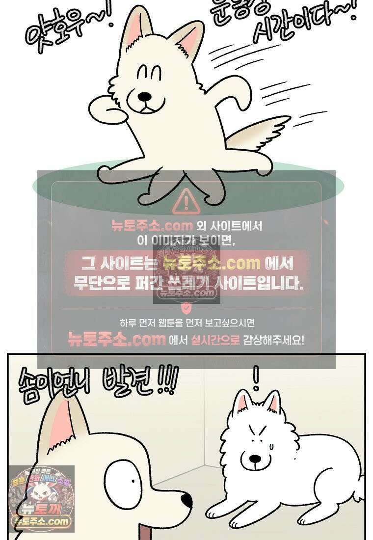 극한견주 시즌2 105화 안전문 설치 16