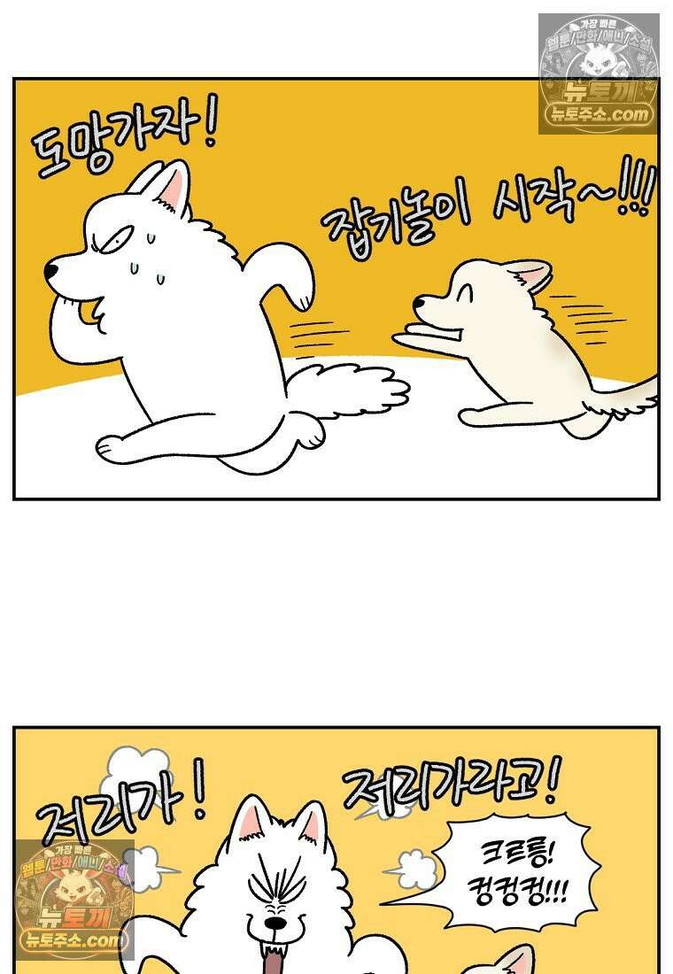 극한견주 시즌2 105화 안전문 설치 18