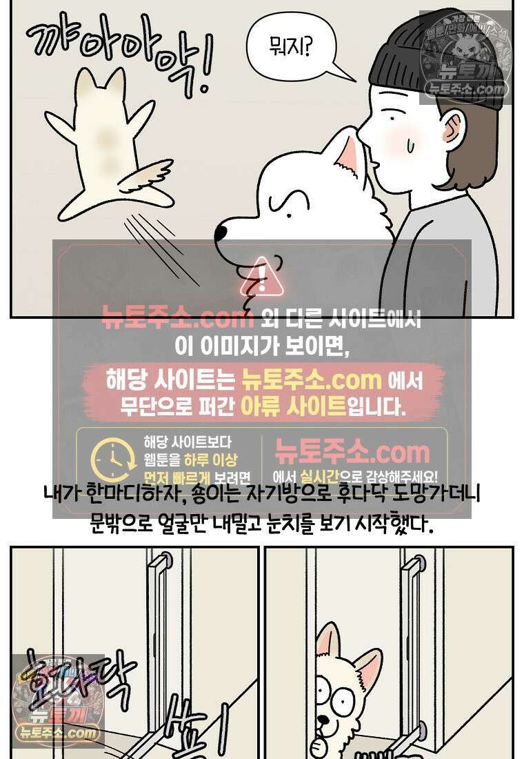 극한견주 시즌2 105화 안전문 설치 21